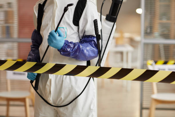 Professional Sewage Cleanup technician working in Holden, UT